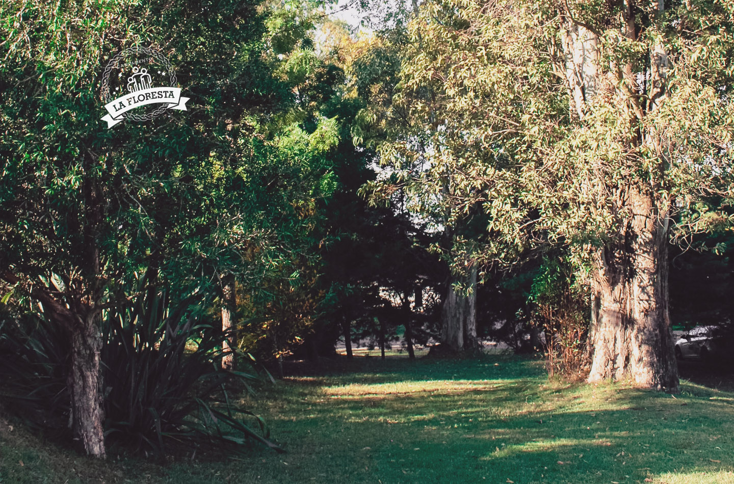 campamento la floresta