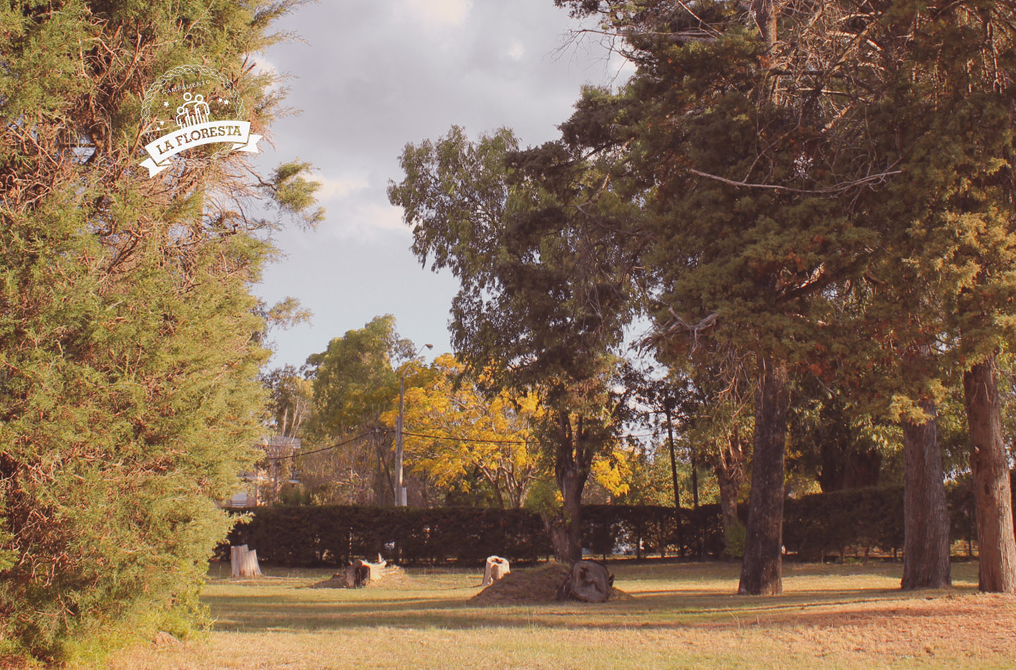 campamento la floresta